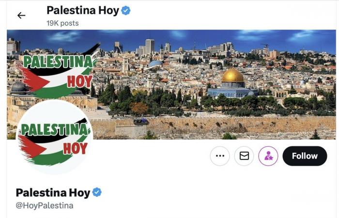 How pro-Palestine digital activists in Latin America are offering an uncensored view on Gaza