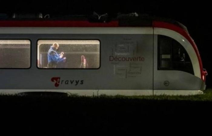 Swiss police shoot dead axe-wielding hostage-taker on train