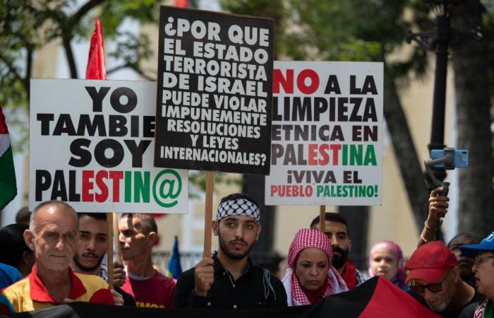 How pro-Palestine digital activists in Latin America are offering an uncensored view on Gaza