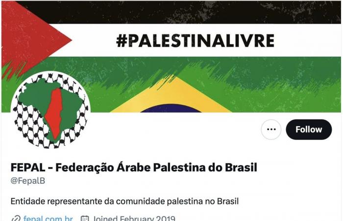 How pro-Palestine digital activists in Latin America are offering an uncensored view on Gaza