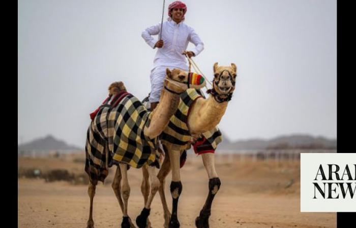 Saudi teen bags 30 awards for camel racing