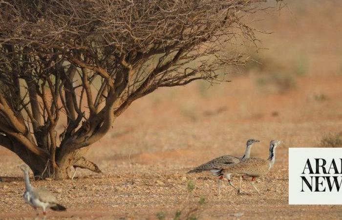 8 conservation programs underway at Saudi wildlife center