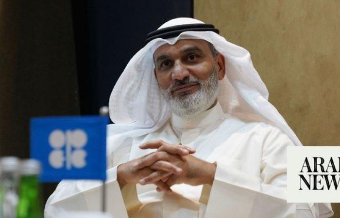 More countries express interest in joining OPEC+, says top official