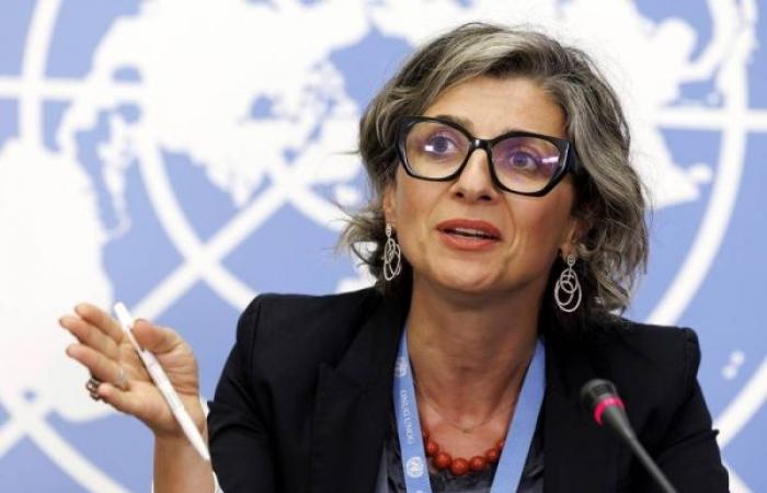 UN Special Rapporteur says October 7 attacks were 'in response to Israel's oppression'