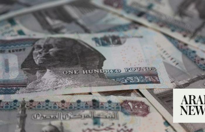 Egypt targets $6.5bn revenues in 2024 from government IPO program, official says   