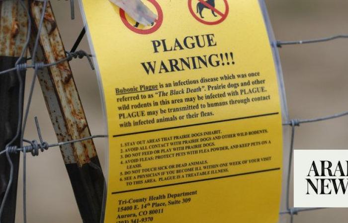 US officials confirm rare human case of bubonic plague
