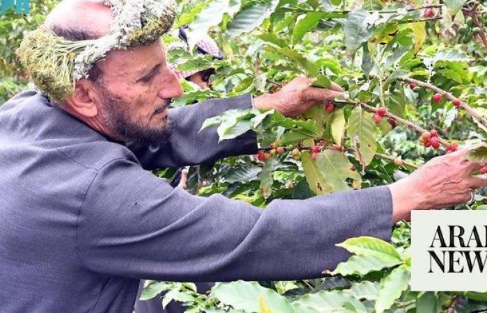 Saudi coffee has grown on global scale, minister says