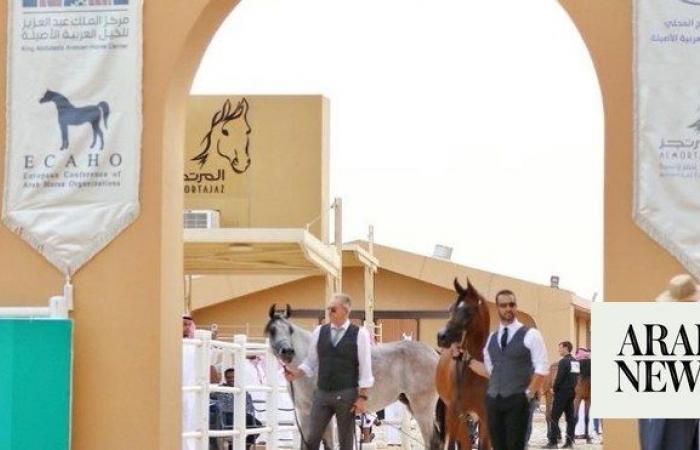 200 horses entered to compete at Almortajaz Arabian Horse Show