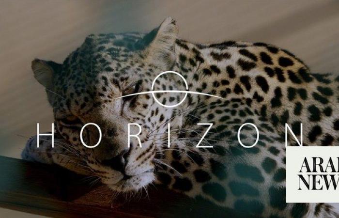 How new Netflix documentary ‘Horizon’ celebrates Saudi Arabia’s wealth of wildlife