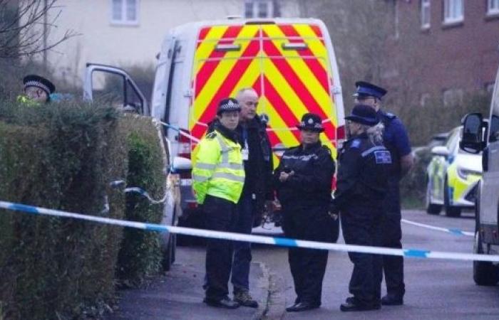 Murder suspect arrested after three children found dead in Bristol