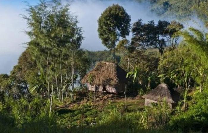 At least 64 shot dead in Papua New Guinea ambush