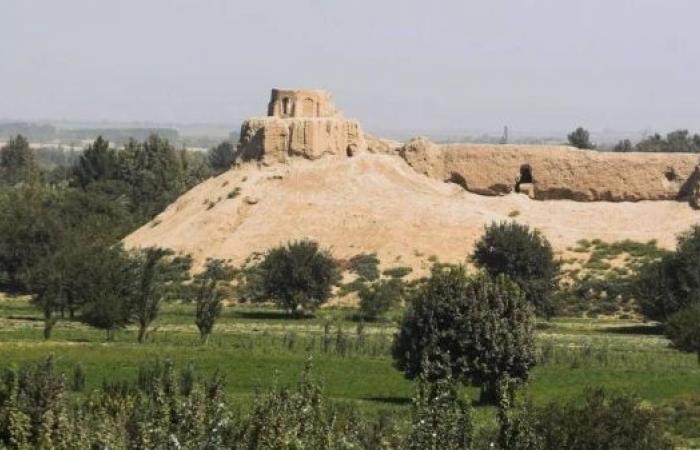 Afghan archeological sites 'bulldozed for looting'