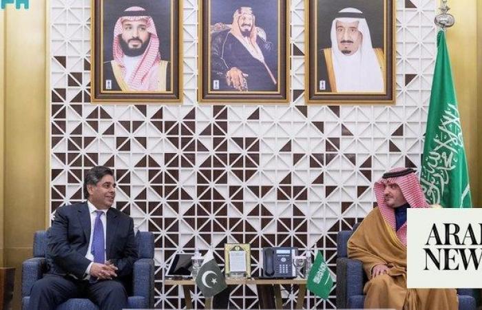 Saudi, Pakistani interior ministers discuss security cooperation