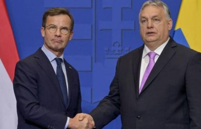 Hungarian Parliament set to greenlight Sweden's NATO membership 18 months after bid