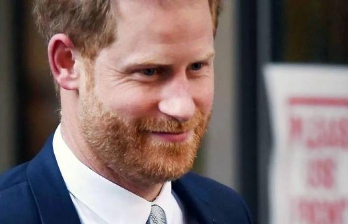 Prince Harry loses High Court challenge over UK security levels