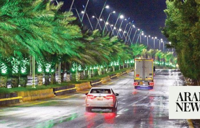 Saudi Arabia takes bold strides toward greener future and carbon neutrality