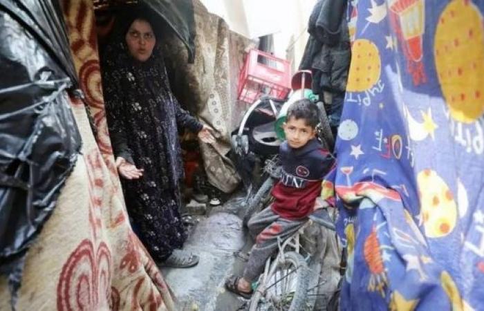 Children starving to death in northern Gaza — WHO