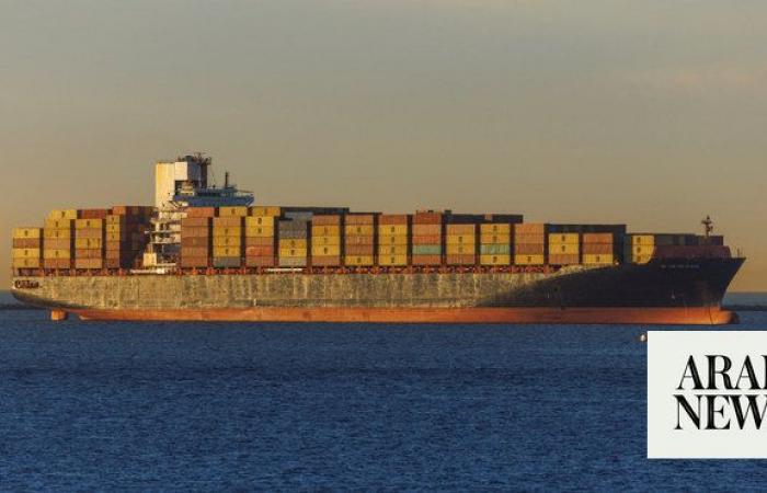US container shippers slow walk new contracts, eye easing of Red Sea rate hikes, analysts say