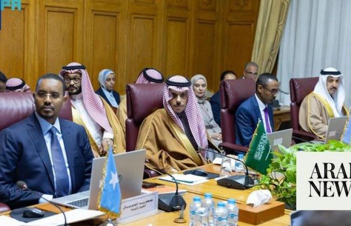Saudi FM attends ministerial meetings on Somalia, Turkiye
