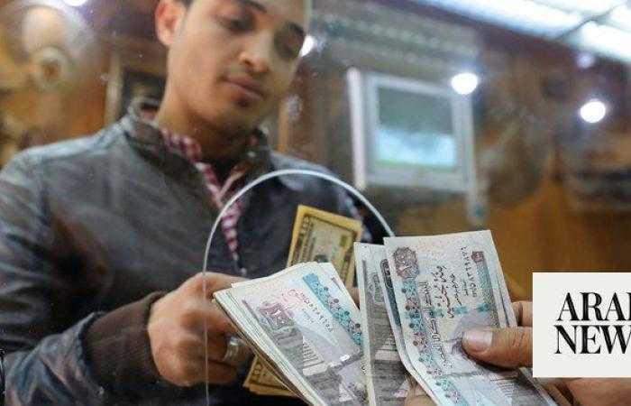Egyptian pound stable after devaluation, IMF deal