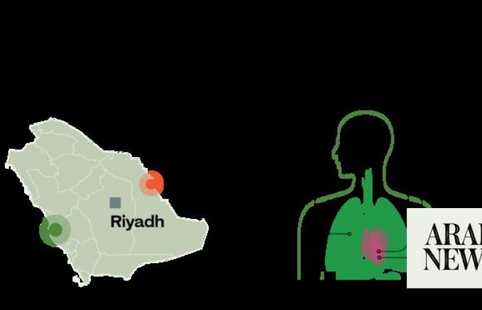 How Saudi Arabia’s shift to cleaner fuels will benefit public health and improve air quality