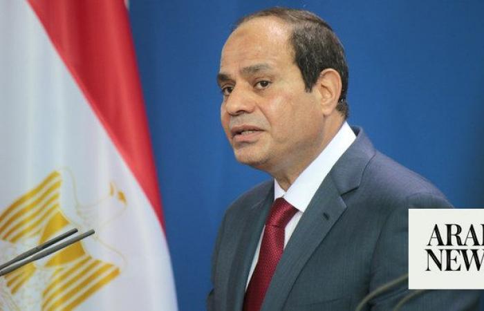 Egypt’s Sisi says flexible currency is possible with new financing 