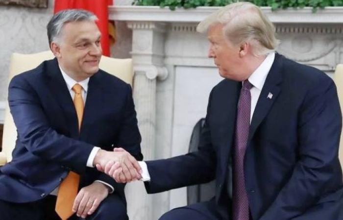 Trump will not give a penny to Ukraine — Hungary PM Orban