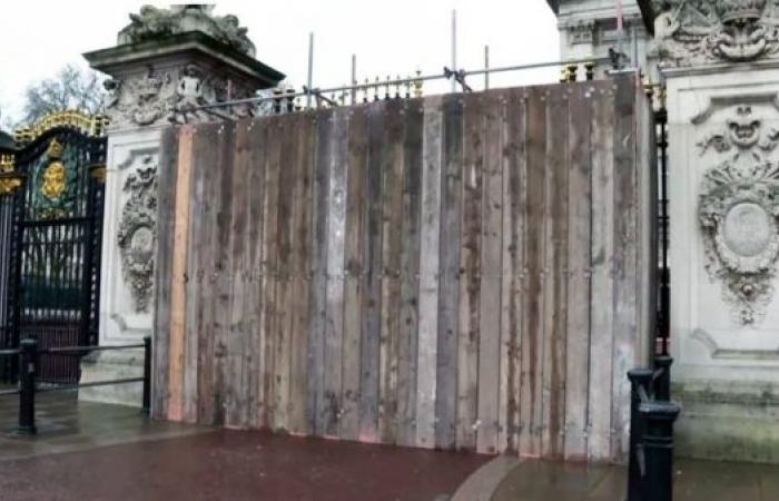 Man bailed after Buckingham Palace gate crash