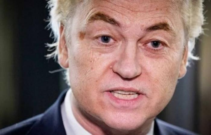 Dutch anti-Islam populist Geert Wilders abandons PM bid