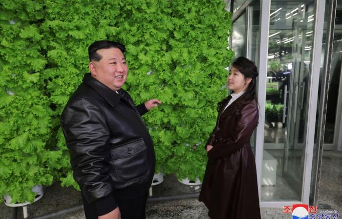 North Korea refers to Kim’s daughter by term reserved for ‘top leaders’