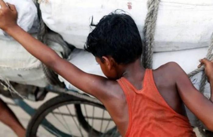 EU backs law against forced labor in supply chains