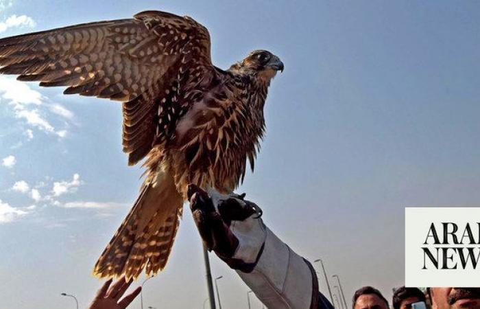 Saudi nature reserve builds aviculture center for endangered desert bird