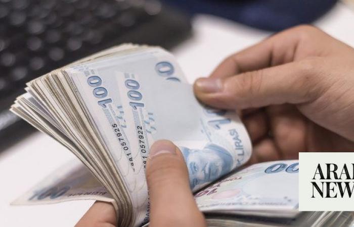 Surprise Turkiye rate hike shores up lira, boosts bonds and stocks 