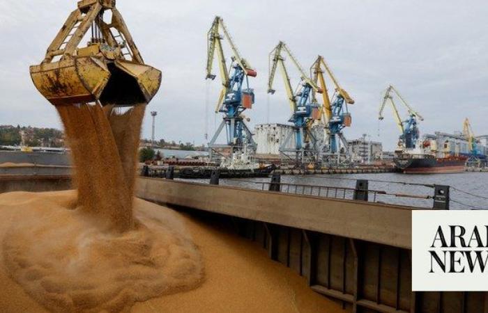 EU chief proposes raising tariffs on Russian grain