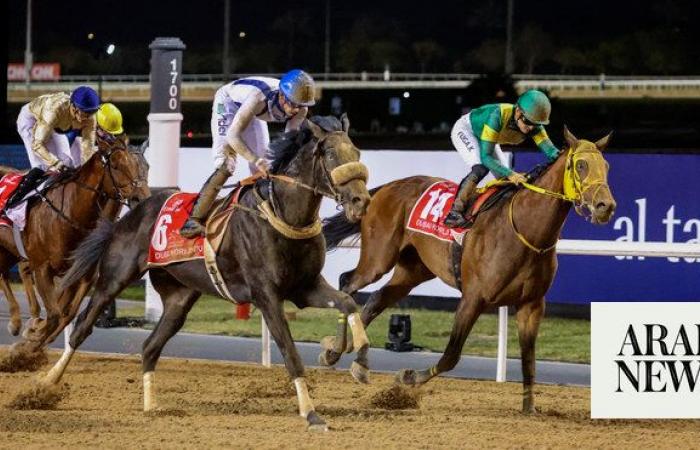 8 things to look out for at the 2024 Dubai World Cup