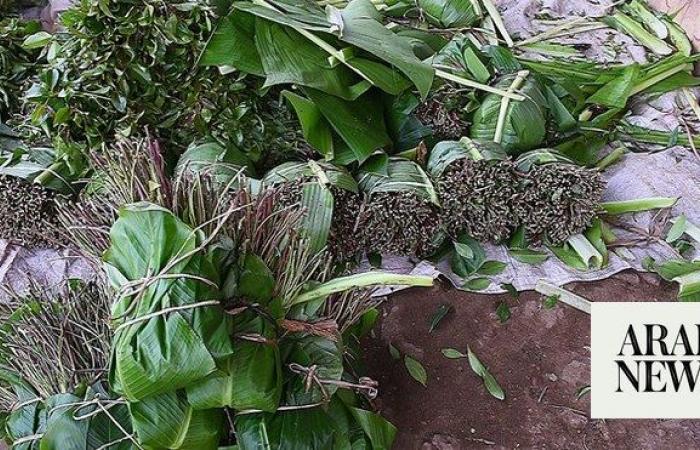 Saudi authorities thwart attempts to smuggle over 500 kg of qat