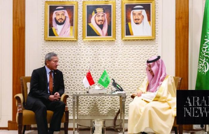 Foreign Minister meets Singaporean counterpart in Riyadh