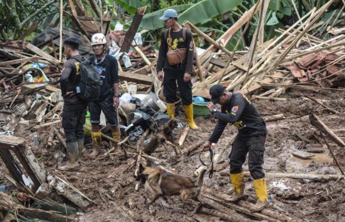 Four bodies found, six missing after Indonesia landslide