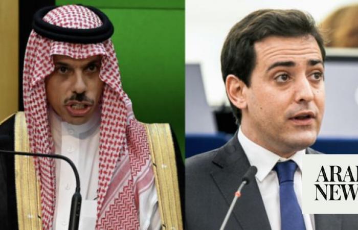 Saudi and French foreign ministers discuss Gaza during call