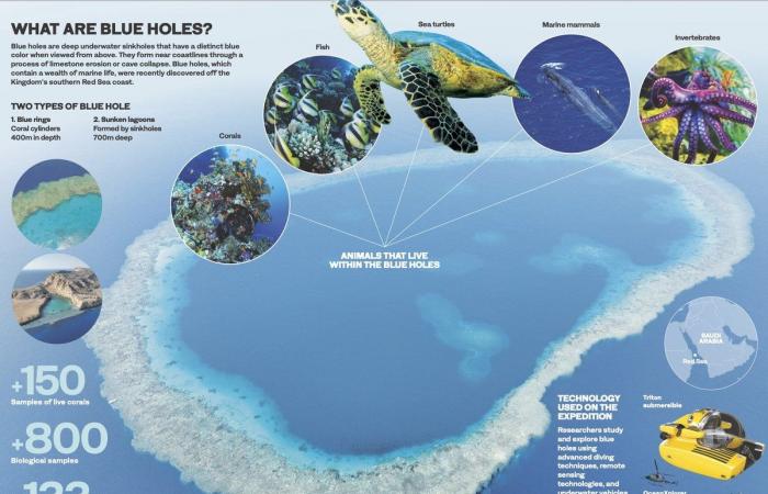 How Saudi Arabia champions cutting-edge research into unique Red Sea marine environments — blue holes