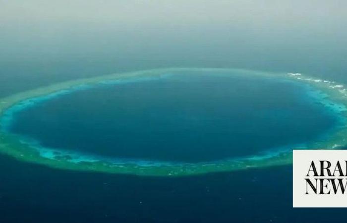 How Saudi Arabia champions cutting-edge research into unique Red Sea marine environments — blue holes
