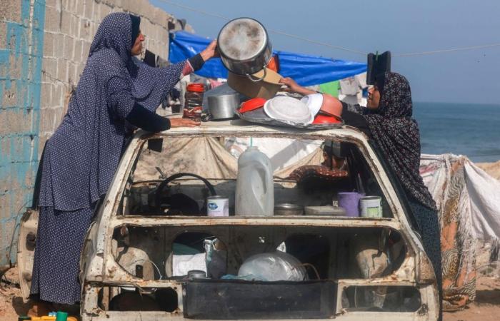 Deadly chaos at Gaza aid distribution as WHO renews hospital warning