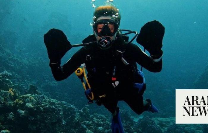 Red Sea Global scuba centers to train divers with disabilities