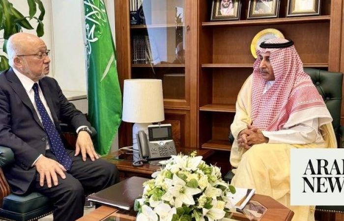 Kingdom’s deputy minister for political affairs discusses developments in the Middle East with Japan’s peace envoy