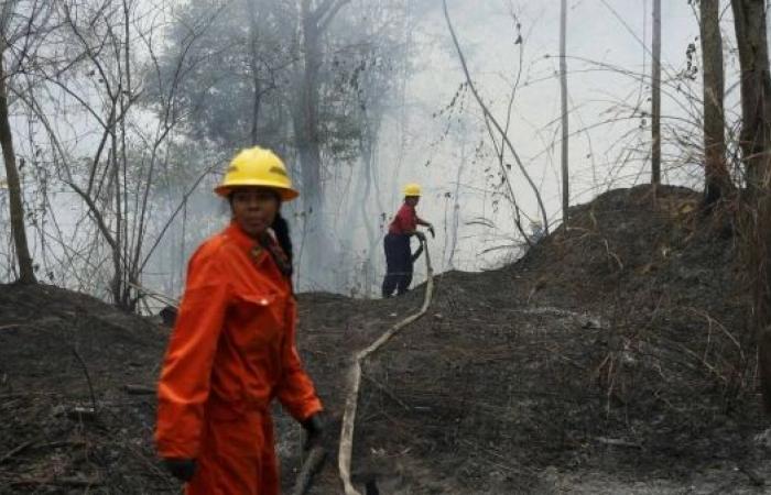 Venezuela battles record wildfires worsened by Amazon drought