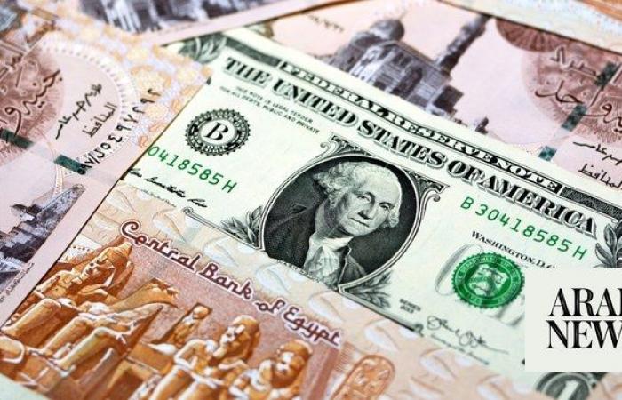 IMF ties Egypt loan disbursements to currency flexibility 