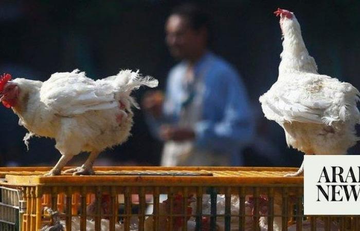 Lack of immunity raises risk of bird flu pandemic, EFSA says