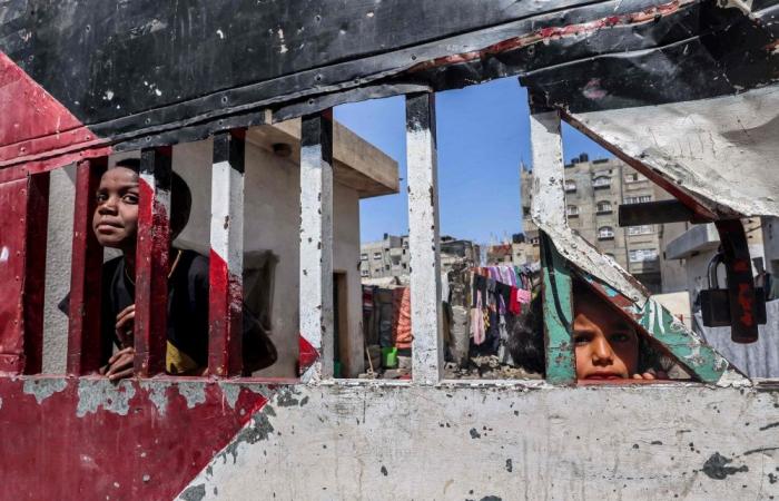 US says truce talks on, after Gaza aid worker death outcry