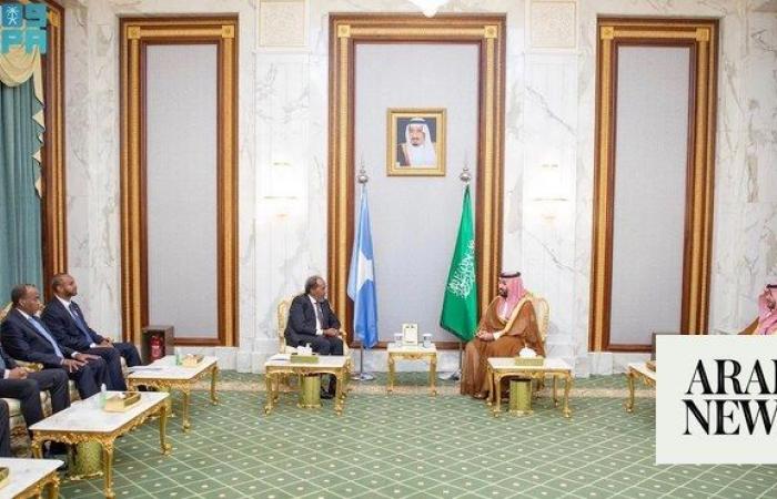 Saudi Arabia, Somalia welcome UN decision to lift arms embargo on Somalia