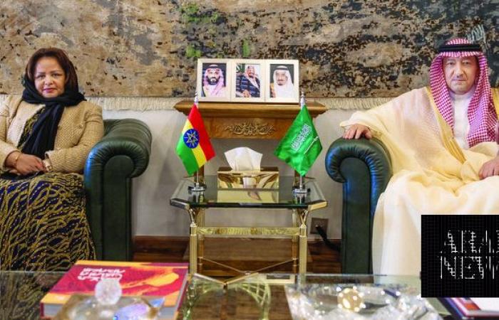 Saudi deputy FM meets Ethiopian state minister